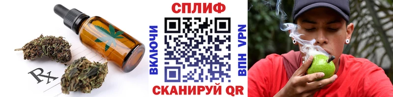 Купить закладки  Новомичуринск  Cannafood конопля 