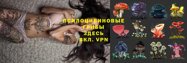 Альфа ПВП Бугульма