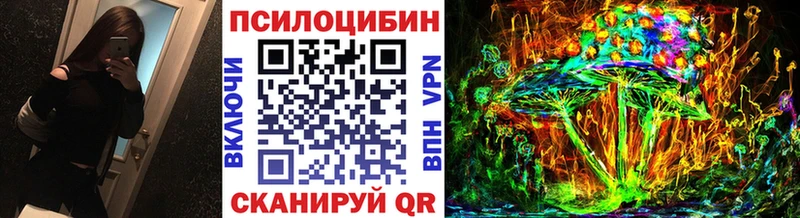 Купить где  Новомичуринск  Псилоцибиновые грибы Cubensis 